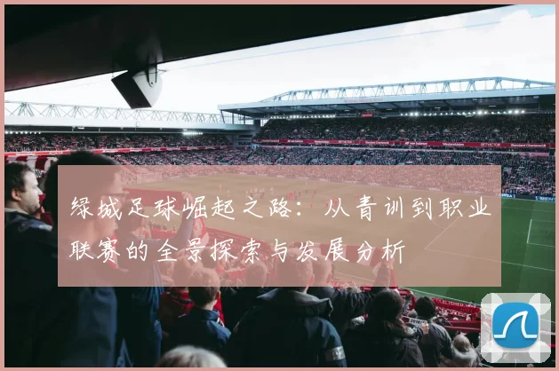 绿城足球崛起之路：从青训到职业联赛的全景探索与发展分析