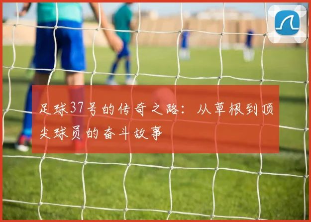 足球37号的传奇之路：从草根到顶尖球员的奋斗故事