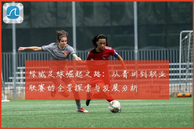 绿城足球崛起之路：从青训到职业联赛的全景探索与发展分析