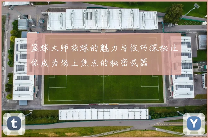 篮球大师花球的魅力与技巧探秘让你成为场上焦点的秘密武器